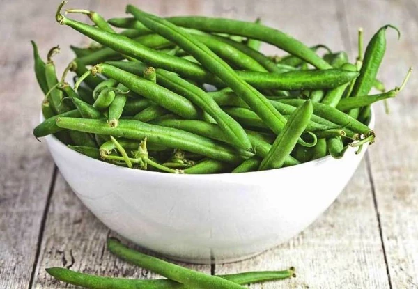 Which Country Exports the Most Green Beans in the World?